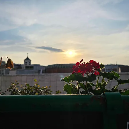 Stone Square Appartement